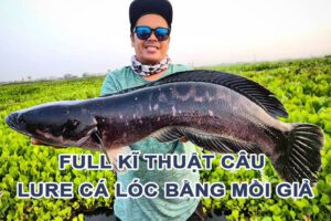 Full Kĩ Thuật Câu Lure Cá Lóc Bằng Mồi Giả: Cá Giả - Mồi Mềm - Nhái Hơi - Nhái Nhảy