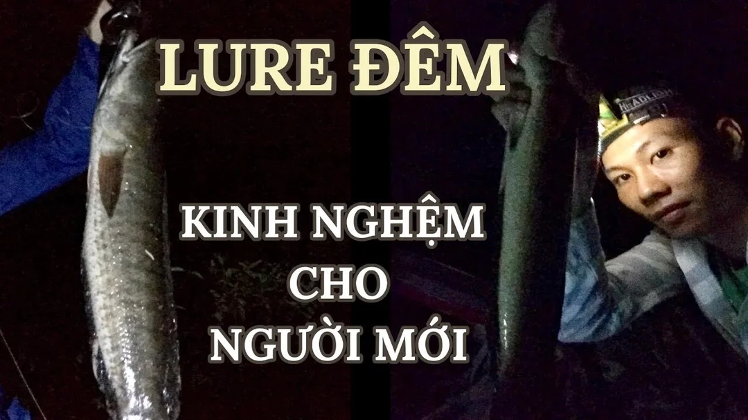 cách câu cá lóc ban đêm an toàn ở bờ kênh