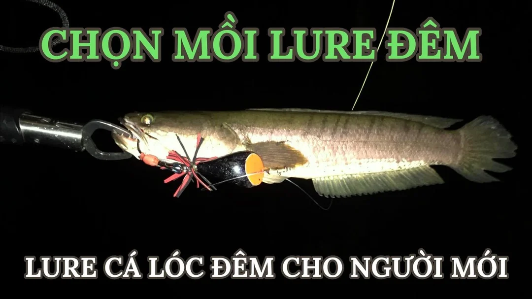 cách câu cá lóc ban đêm với thao tác thu mồi chậm