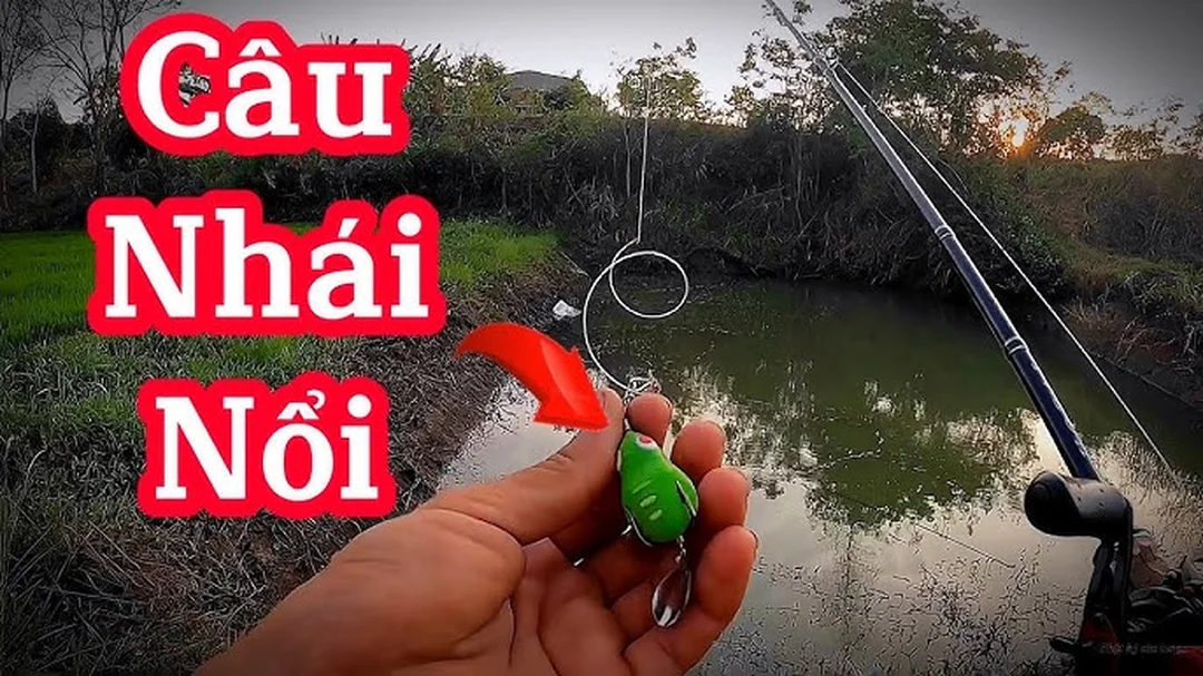 cách câu cá lóc bằng mồi cá giả và mồi mềm