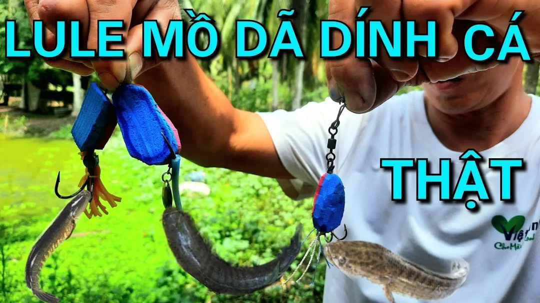 Câu hỏi thường gặp về cách câu cá lóc bằng nhái cách câu cá lóc bằng nhái cho người mới với câu hỏi thường gặp