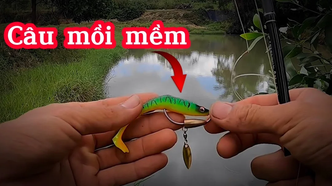cách câu lure cá lóc bằng mồi mềm cho người mới