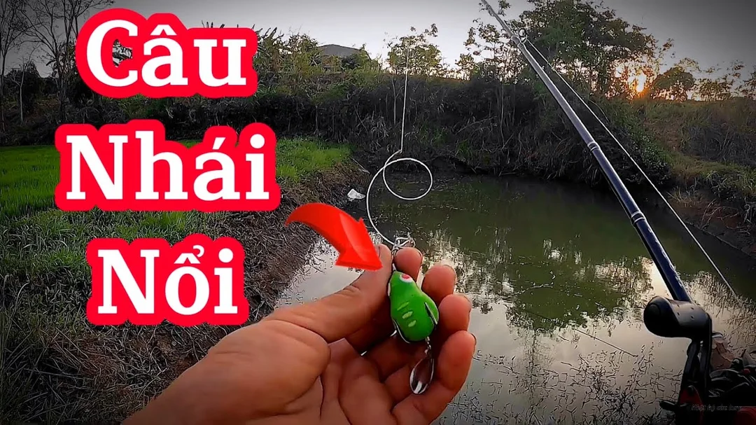 Cách câu lure cá lóc bằng nhái nổi cho người mới