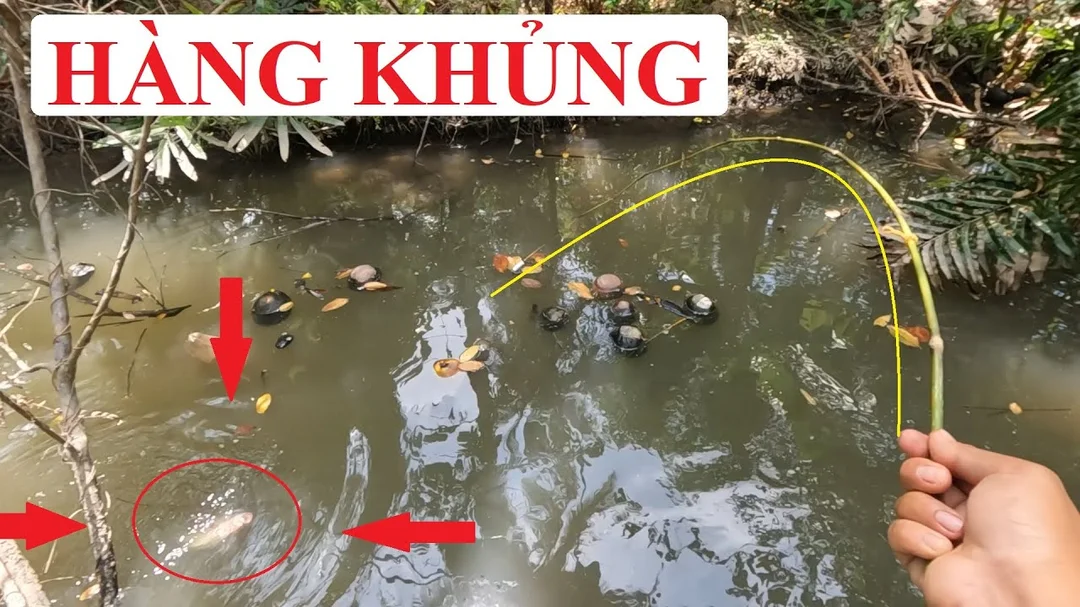 cách làm cần câu cá lóc bằng nhánh tre già tại nhà cách làm cần câu cá lóc bằng nhánh tre già tại nhà