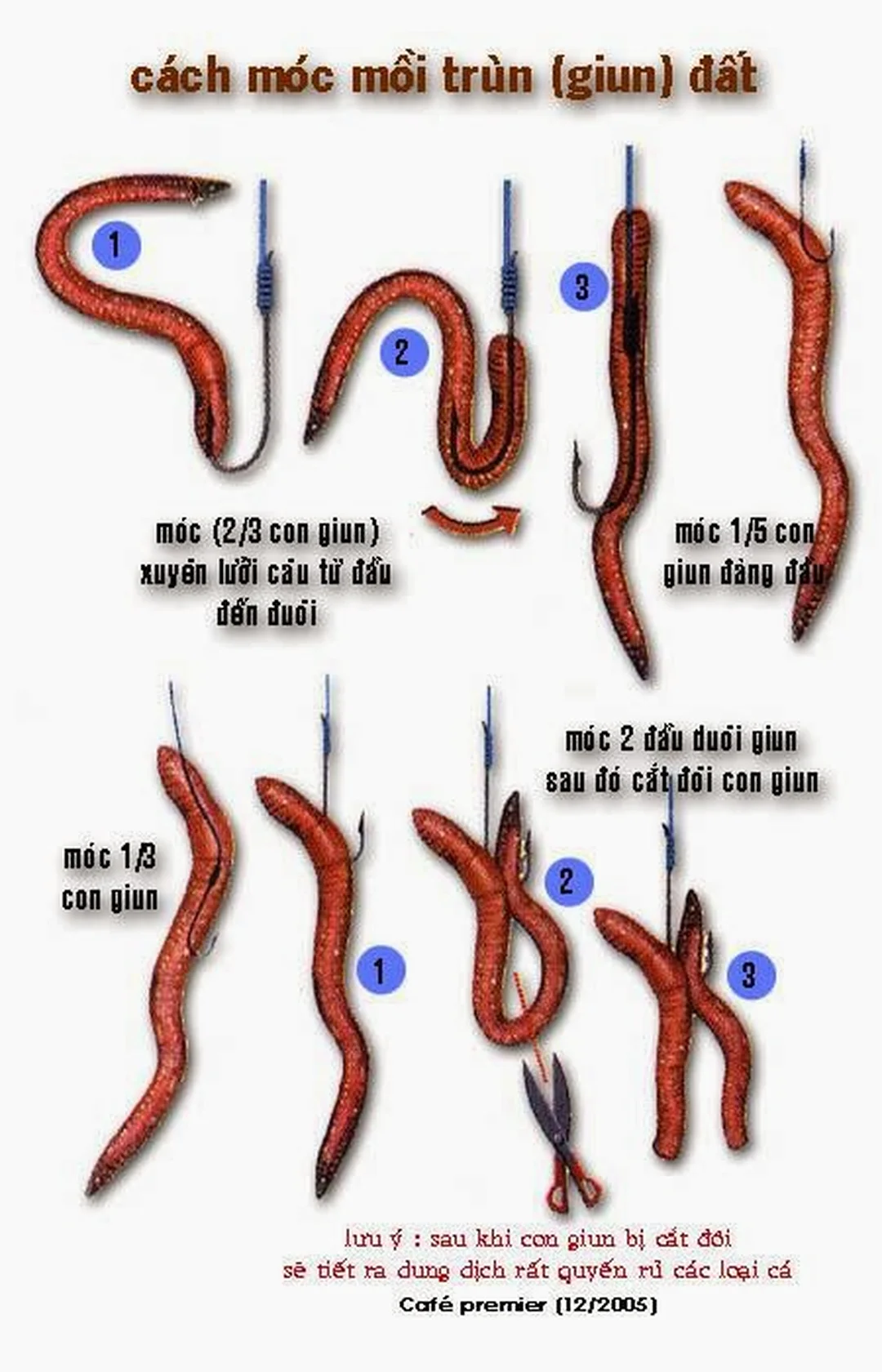 cách móc mồi câu cá lóc so sánh lưỡi offset jighead