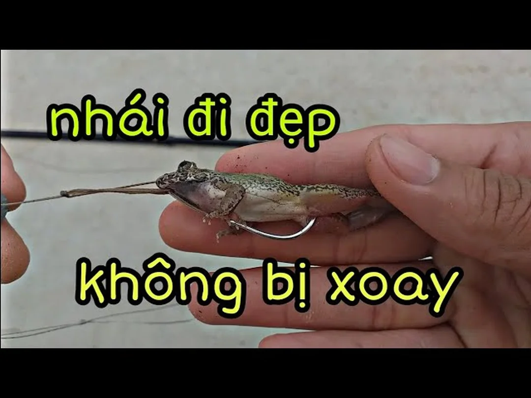 cách móc mồi nhái câu cá lóc - hình minh họa 1 cách móc mồi nhái câu cá lóc - hình minh họa 1