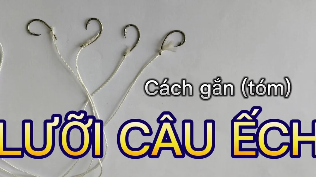 cách tóm lưỡi câu cá lóc giải đáp lỗi thường gặp