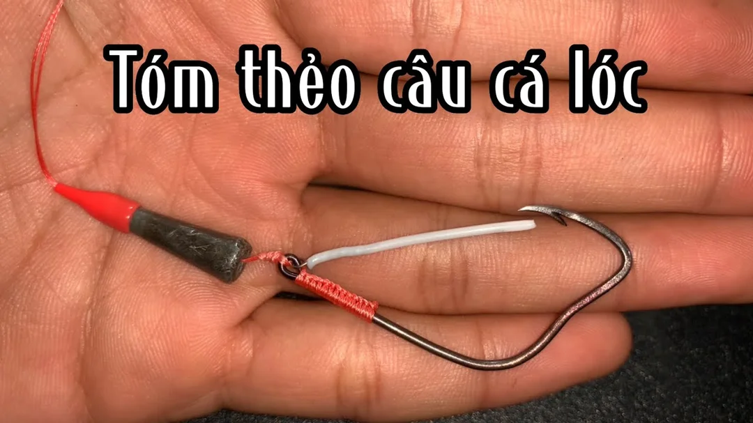 cách tóm lưỡi câu cá lóc tránh tuột dây khi đóng cá