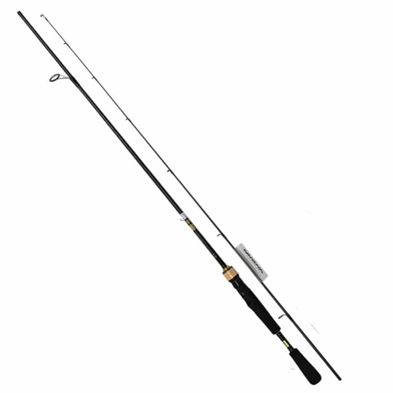 Cần câu Lure Daiwa Bass X Mẫu mới 2019