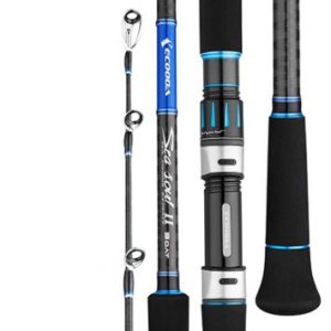 Cần Câu Lure Ecooda Ranger II