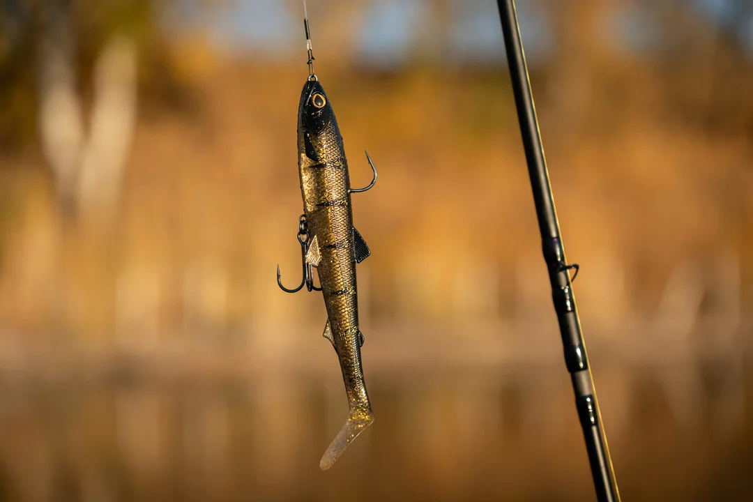 cần câu lure giá rẻ với mồi giả treo trên thân cần