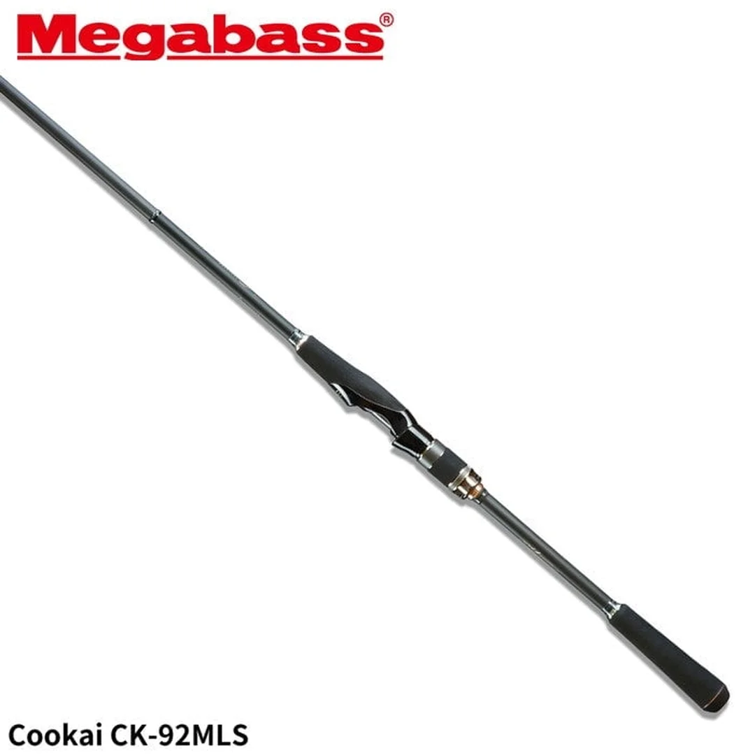 cần câu lure megabass câu hỏi thường gặp khi mua