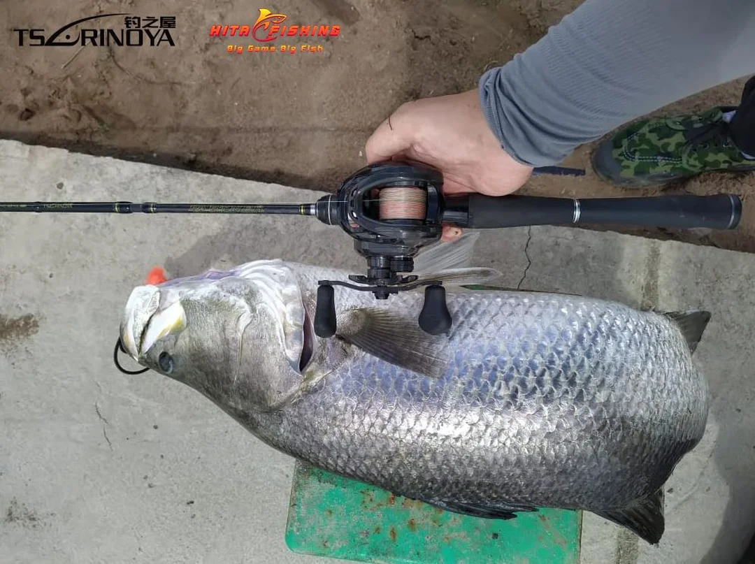 cần câu lure tsurinoya Partner feedback thực tế từ người dùng