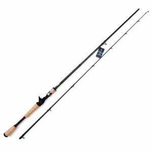 Cần Lure Toman Dài 2m1 Cho Máy Đứng Và Máy Ngang