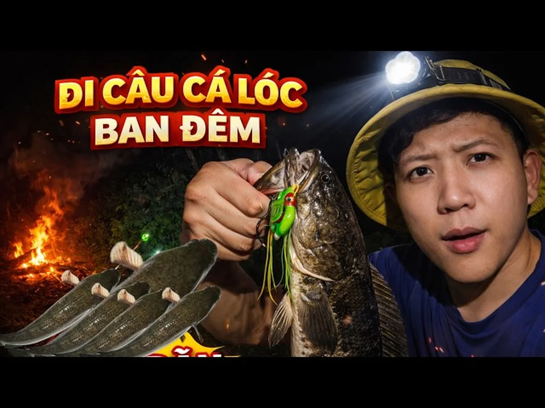 Câu cá lóc ban đêm với mồi lure và kỹ thuật rê chậm câu cá lóc ban đêm với mồi lure và kỹ thuật rê chậm