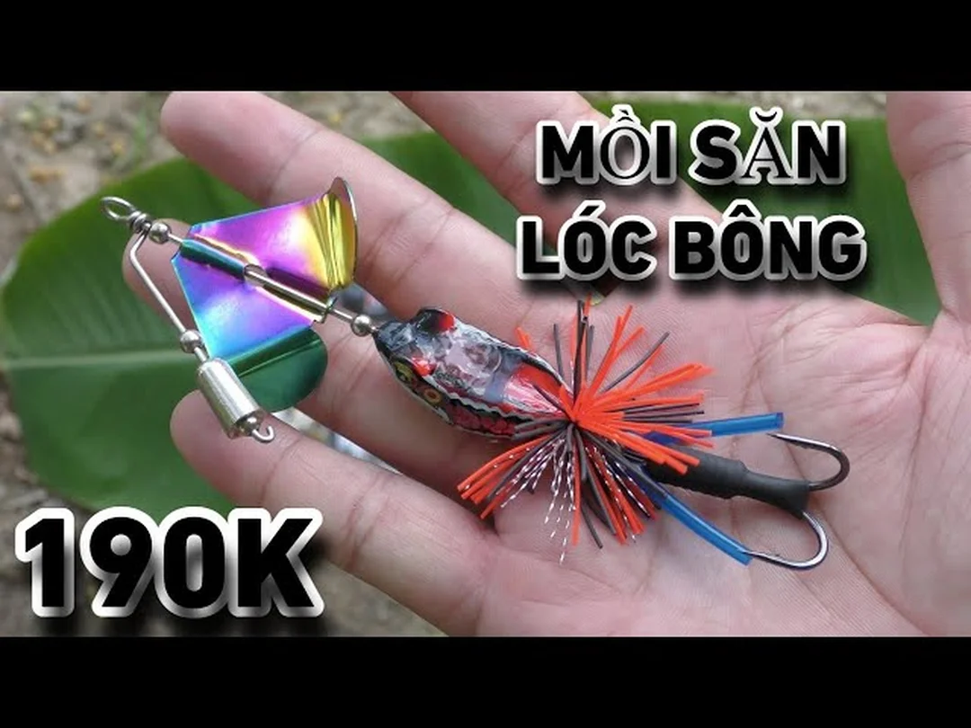 câu cá lóc bông thái lan với cá lớn ở hồ nước
