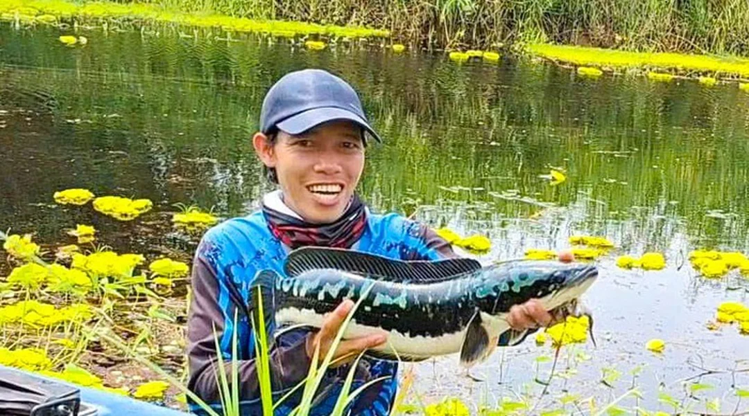 câu cá lóc bự và câu hỏi thường gặp khi chọn đồ