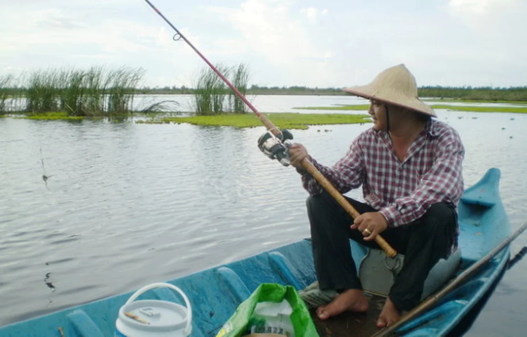 câu cá lóc miền tây trên kênh rạch nhiều cỏ
