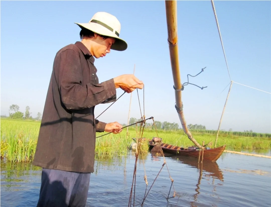 câu cá lóc miền tây với cá lớn trên bờ ruộng