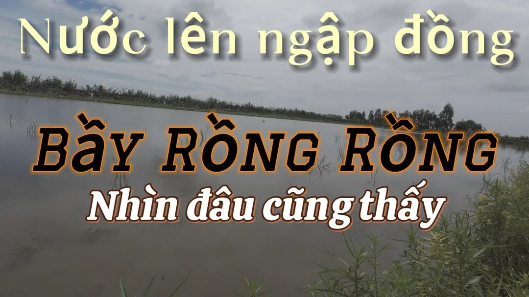 câu cá lóc mùa đông tránh lỗi đóng cá quá sớm