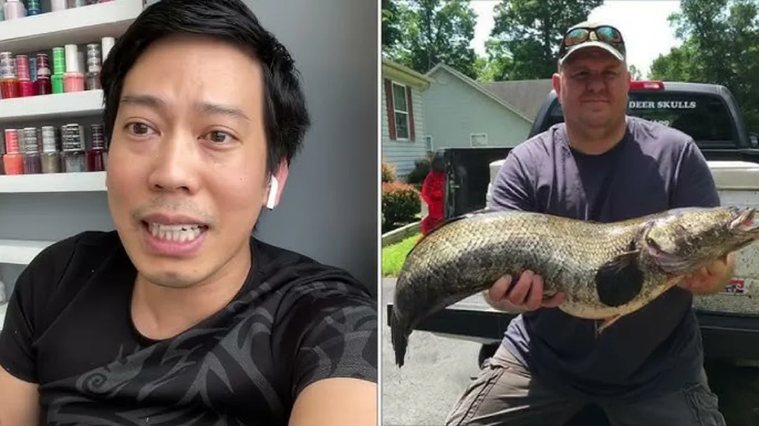câu cá lóc ở mỹ bằng combo lure cá lóc phù hợp địa hình