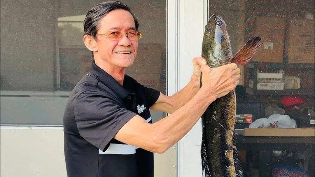câu cá lóc ở mỹ cần hiểu luật snakehead trước khi giữ cá