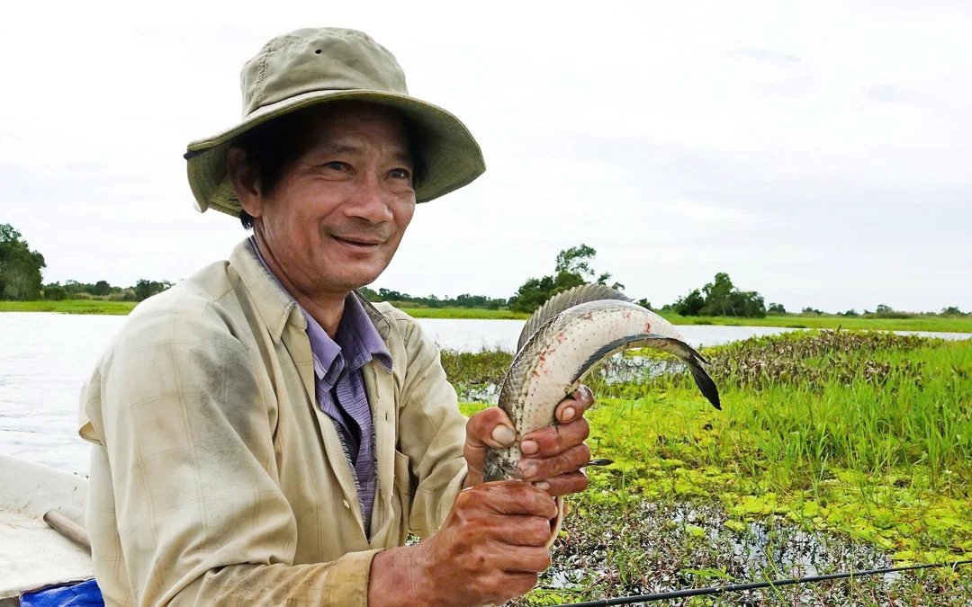 Câu cá lóc rừng U Minh Thượng ở trảng nước rừng tràm câu cá lóc rừng u minh thượng ở trảng nước rừng tràm