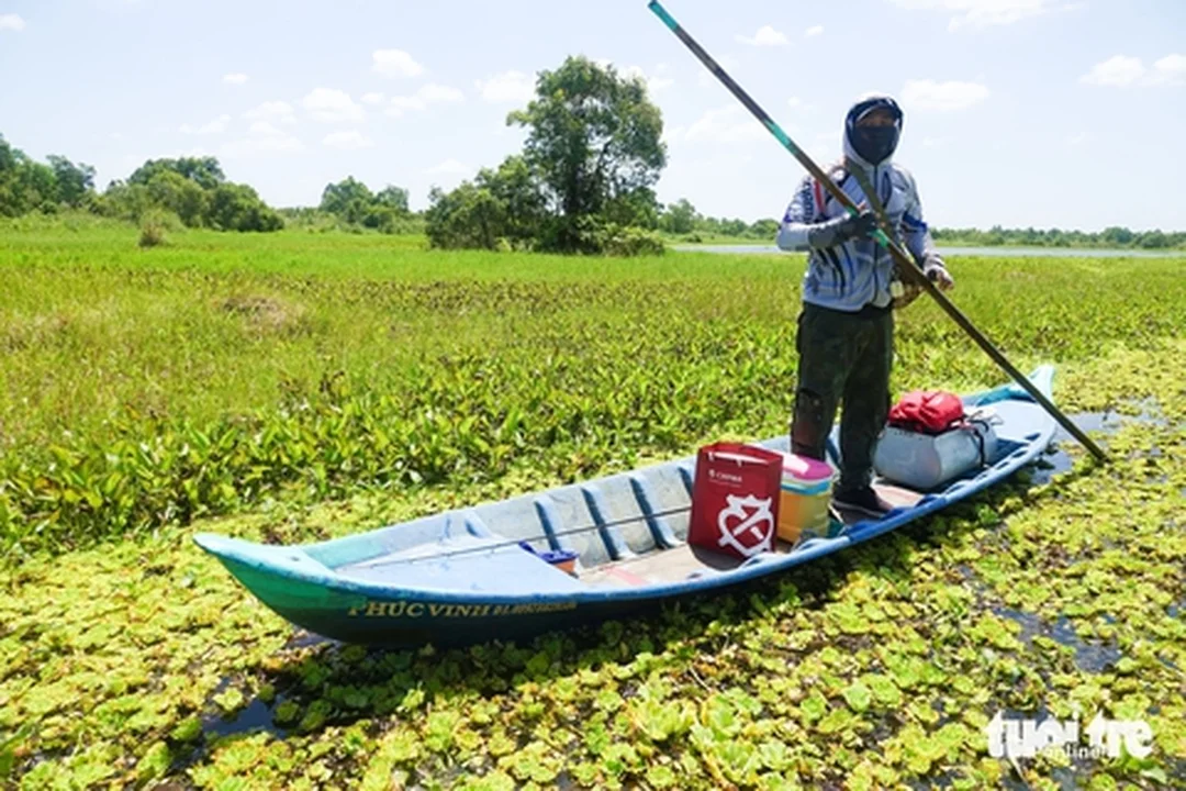 Câu cá lóc rừng U Minh Thượng với cần thủ trên xuồng câu cá lóc rừng u minh thượng với cần thủ trên xuồng