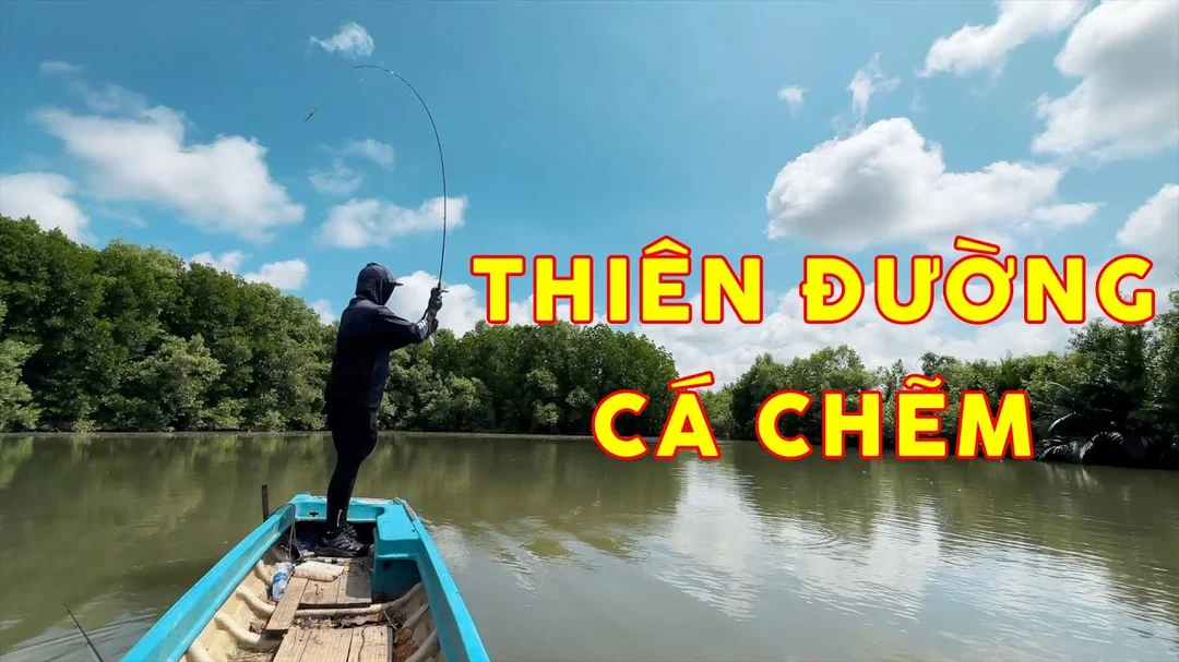 Câu lure cá chẽm thực tế tại Việt Nam