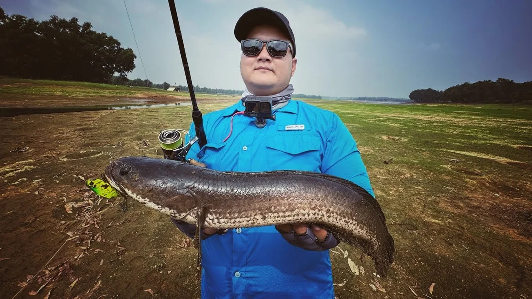 Câu Lure Cá Lóc Hồ Tự Nhiên Chọn Cần Câu Lure