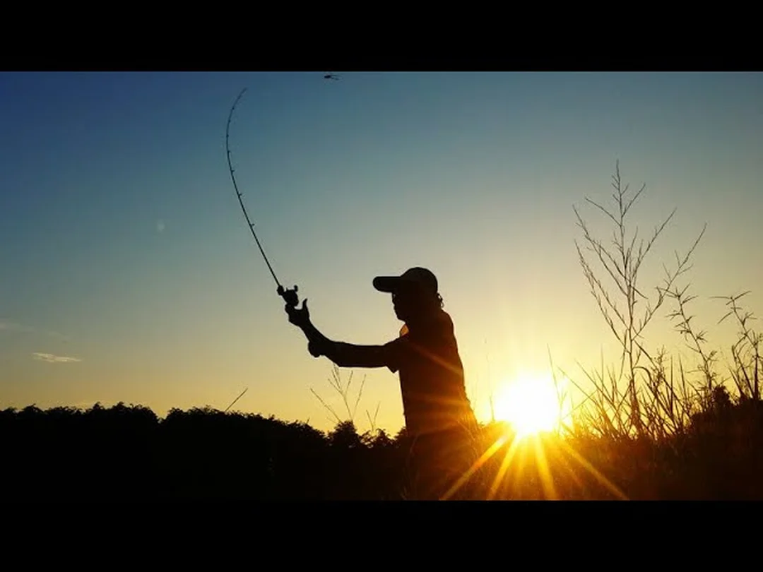 Chọn cần lure loại nào? Kinh nghiệm câu lure