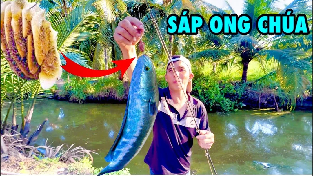 chuẩn bị mồi và phụ kiện câu cá lóc bông