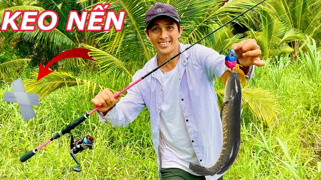 Đánh nhái hơi trong kỹ thuật câu cá lóc bằng mồi giả