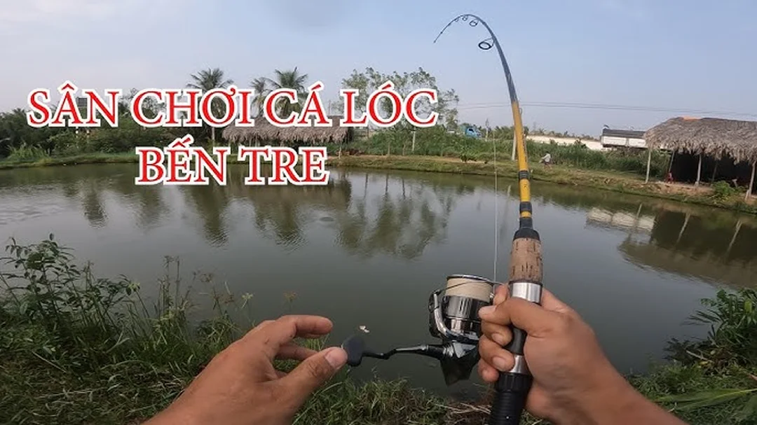 hồ câu cá lóc dịch vụ có khu vực câu lure cá lóc
