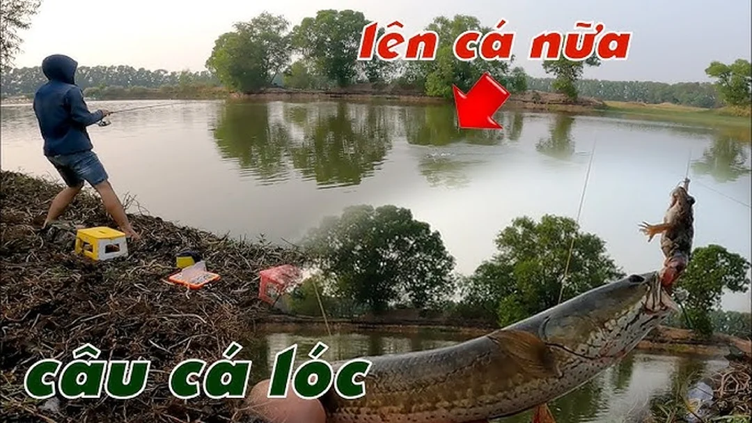 hồ câu cá lóc tại khu vực miền Trung cho người chơi lure