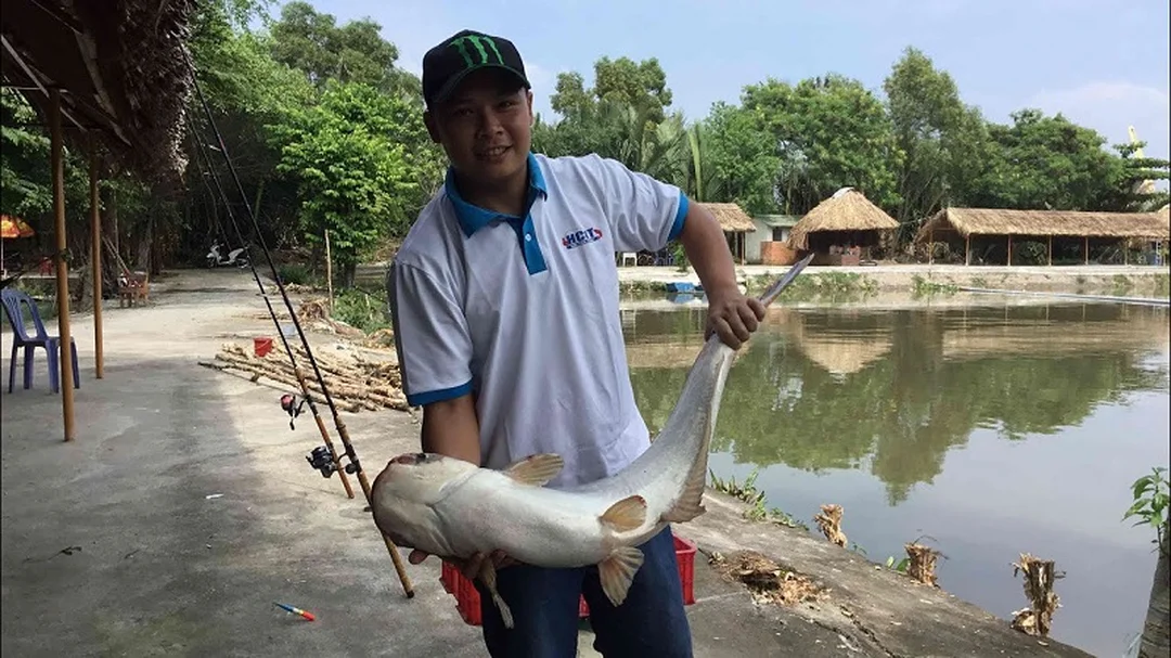 hồ câu cá lóc Thanh Đa cần tránh chọn sai mồi và sai khung giờ