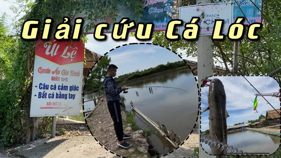 hồ câu cá lóc Thanh Đa có bờ hồ rộng và khu câu giải trí