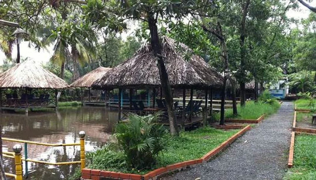 hồ câu cá lóc Thanh Đa phù hợp chuẩn bị cần máy và mồi lure gọn nhẹ