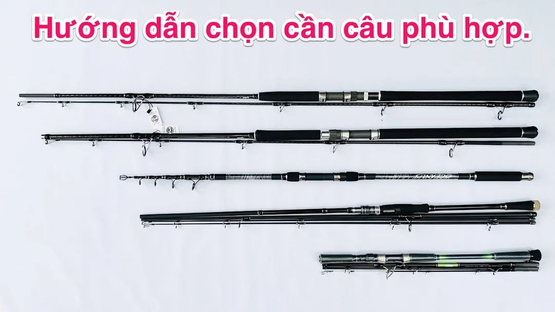 Hướng dẫn chọn cần câu phù hợp môn câu và địa hình