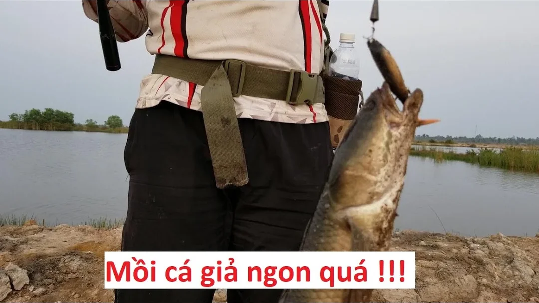 Kỹ thuật sử dụng mồi mềm gắn chì để lure cá lóc nhạy hơn