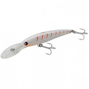 moi-noi-ca-sau-lf-crocodile