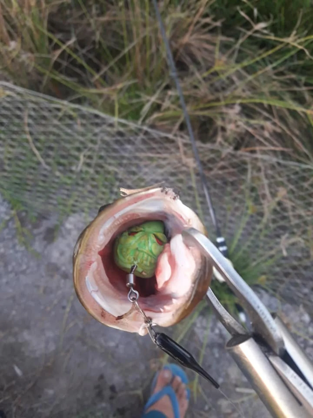 mồi giả câu cá lóc Ghost Frog chi tiết lưỡi đôi