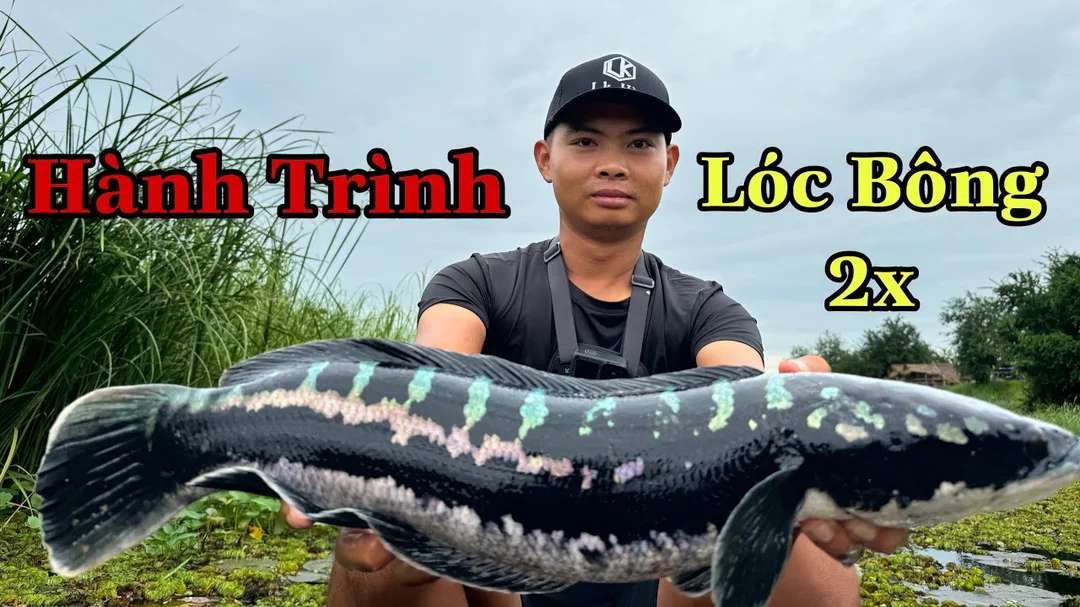 mồi lure buzzbait dùng để câu cá lóc bông