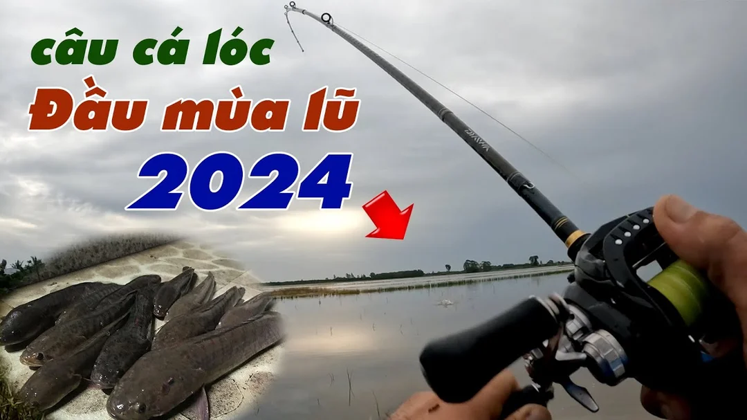 mùa câu cá lóc với nhái hơi ven bèo