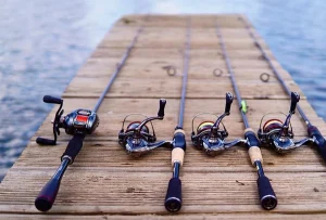 nen-chon-may-cau-dung-hay-may-cau-ngang-de-cau-lure-ca-loc