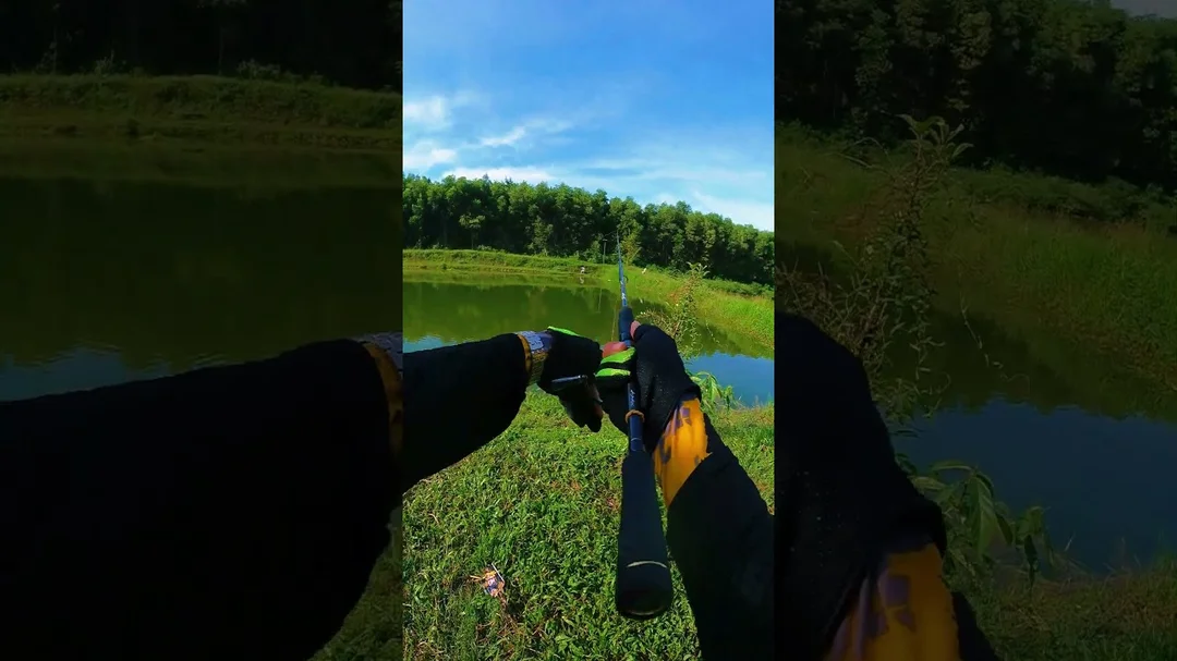 Video cách chọn máy ngang hay máy đứng khi câu lure