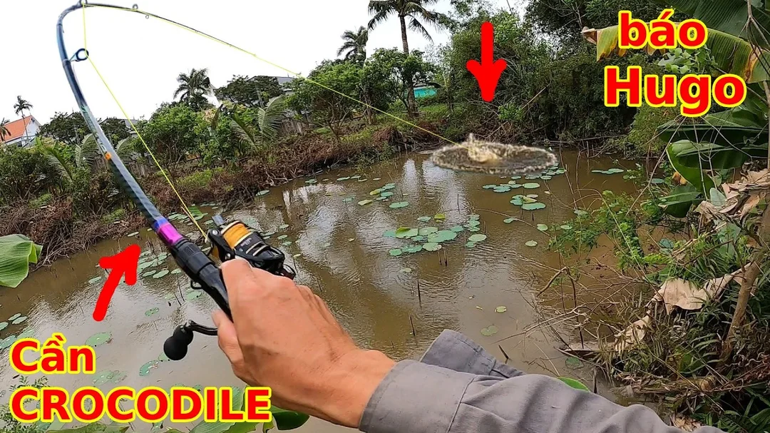 video cần câu lure giá rẻ test thực tế