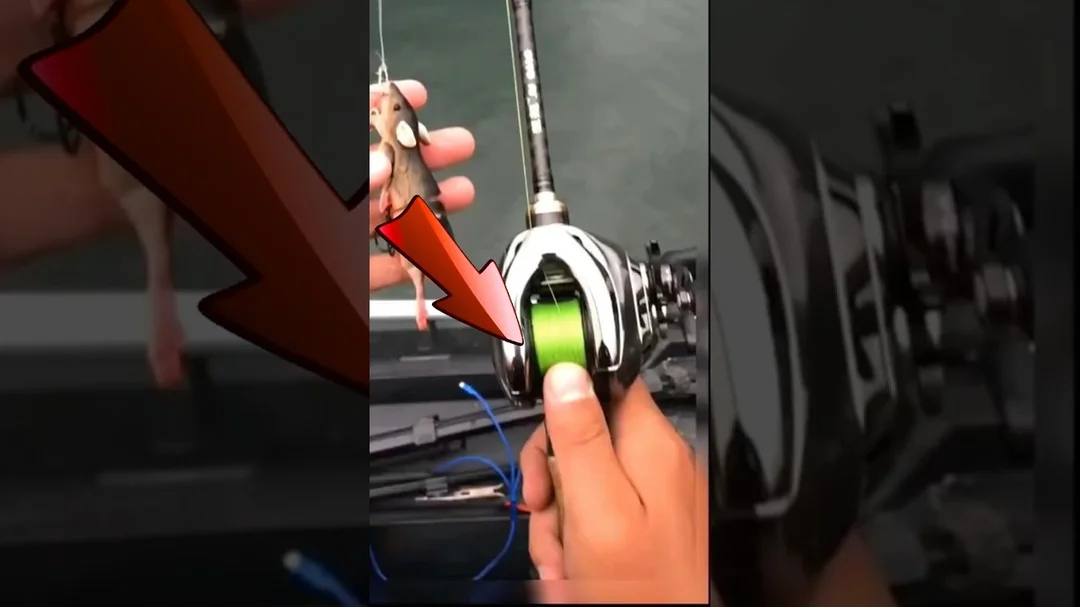 video chọn cần câu lure cá lóc nên chọn cần đứng hay cần ngang