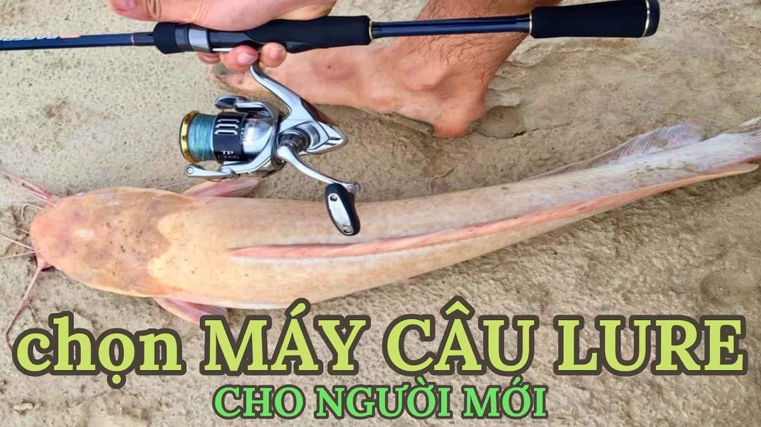 Video hướng dẫn chọn máy câu lure cho người mới