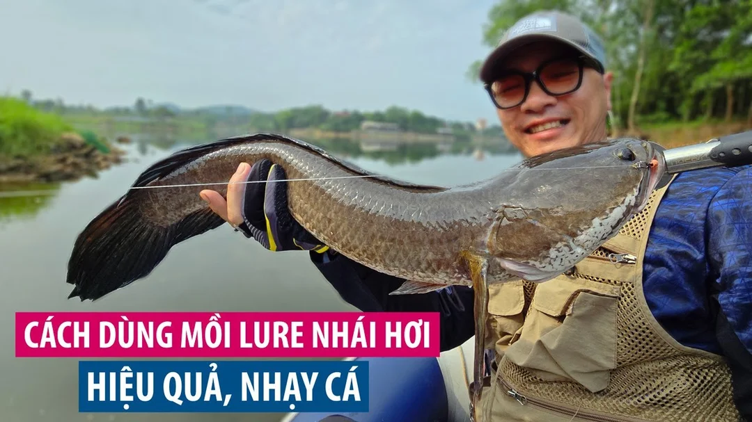 Video hướng dẫn dùng nhái hơi câu cá lóc